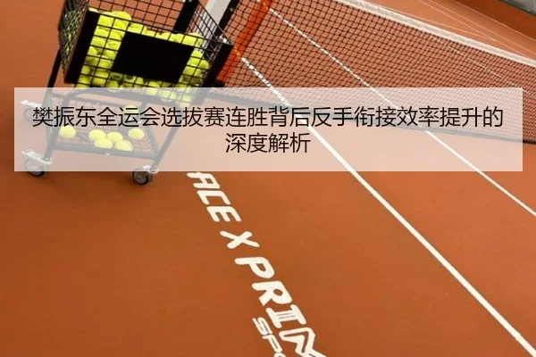 樊振东全运会选拔赛连胜背后反手衔接效率提升的深度解析（wukongsports）